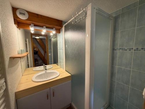 une salle de bain avec un lavabo et une douche dans l'établissement Appartement cosy 2 pièces + mezzanine, balcon, animaux tolérés - FR-1-293-116, aux Saisies