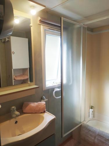 une salle de bain avec une douche, un lavabo et un miroir dans l'établissement Spacieux et Cosy Mobil-Home pour 6 à 25min de St Etienne et Annonay au sein d'un charmant Camping, à Saint-Sauveur-en-Rue