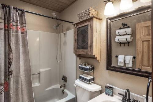 a bathroom with a toilet and a shower and a sink at Horsin’ Around-Cabin with a peaceful covered deck. in Ponderosa Heights