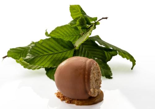 a chocolate dessert with a green leaf on top at Il Boscareto Resort & Spa in Serralunga d'Alba