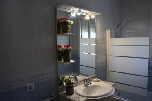 a bathroom with a sink and a mirror at Casa Rural Almocaizar B&B in Los Gallardos