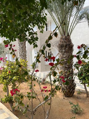 Zahrada ubytování Résidence Jamila Location Appartements confort piscine proche zone touristique