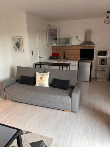 a living room with a gray couch and a kitchen at Grand studio lumineux proche gare in Saint-Ouen-lʼAumône