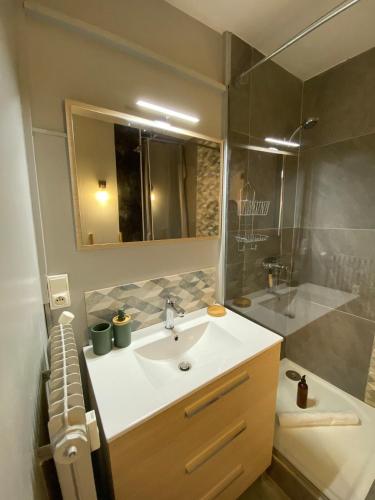 une salle de bain avec un lavabo, une douche et un miroir dans l'établissement Studio 18 - Parking & proche lac, à Annecy