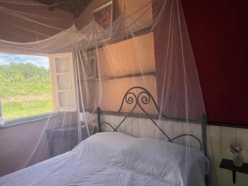 a bedroom with a bed with a canopy and a window at Casa Valle Verde in Brugnato
