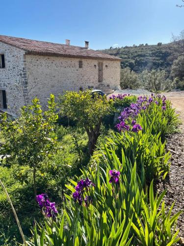 La Bastide des Crinieres Argentees