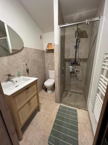 une salle de bain avec une douche, un lavabo et des toilettes dans l'établissement La Bastide des Crinieres Argentees, à La Celle-sous-Gouzon
