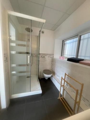 a bathroom with a shower and a toilet at Chez Ambre et Lulu - Appartement centre ville avec piscine in Millau