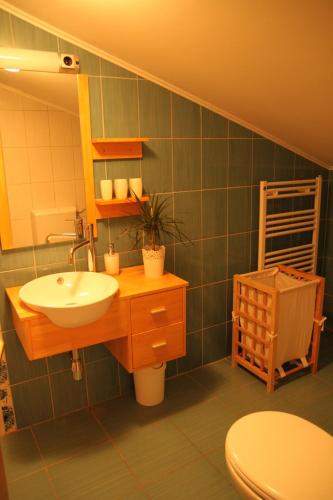 a bathroom with a sink and a toilet at Apartments Strmac in Slunj