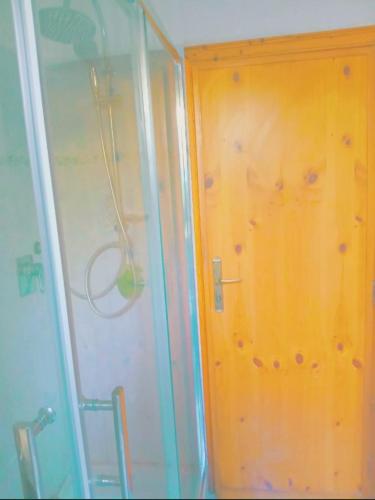 a bathroom with a shower and a wooden door at Dream of Eden in Rome