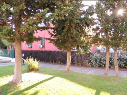 un groupe d'arbres devant un bâtiment rose dans l'établissement Studio port nature 2, au Cap d'Agde