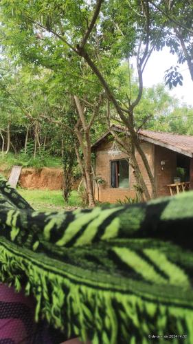 Κήπος έξω από το Camping e pousada dos sonhos