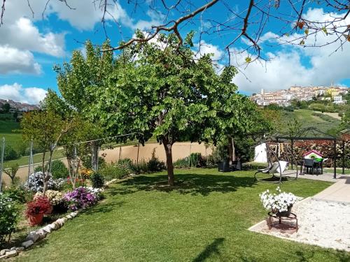 Κήπος έξω από το A casa de Fiore