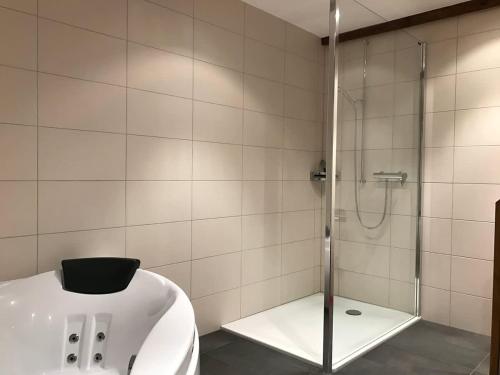 a bathroom with a shower with a glass door at Ferienwohnung Ursis Stall in Münster