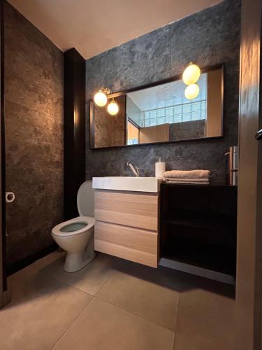une salle de bain avec un lavabo, des toilettes et un miroir dans l'établissement T2 cosy avec parking, à Dieppe
