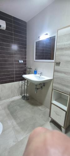 a bathroom with a sink and a shower at Apartamento Muiño Bueu in Bueu