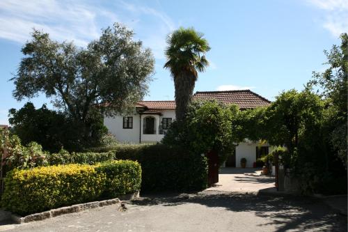 a house with a palm tree and bushes at Casa de Marlães in Lousada