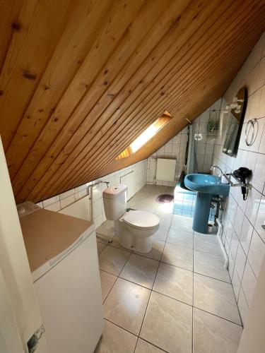 une salle de bain avec toilettes et lavabo dans l'établissement Charmante petite maison, à Bourgheim