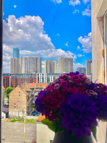 ベオグラードにあるMove In Apartmentsの街の景色が見える窓辺の花束