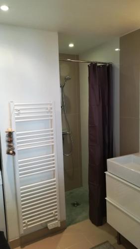 une salle de bain avec douche et lavabo dans l'établissement Charmante Maison Saint-Martin-de-Ré, à Saint-Martin-de-Ré