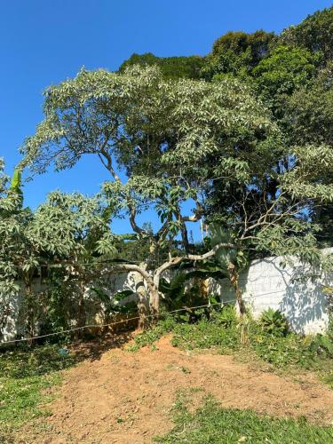 Landskap semula jadi dekat dengan rumah percutian
