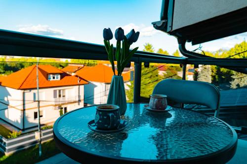 Balkoni atau teres di Deluxe apartments