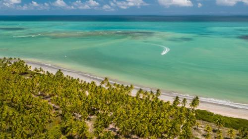 an aerial view of a beach with trees and the ocean at Salinas Maceio All Inclusive Resort in Maceió