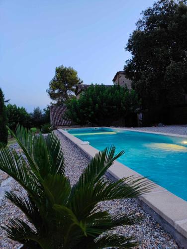 une piscine bleue avec un palmier au premier plan dans l'établissement L'olive, à Boisset-et-Gaujac