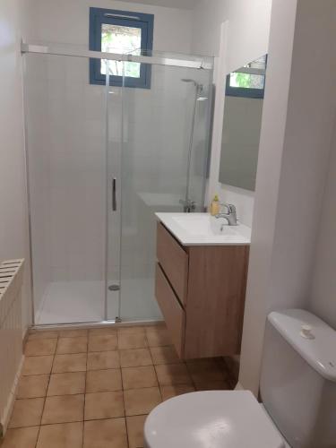 une salle de bain avec une douche, des toilettes et un lavabo dans l'établissement Centre Les Labadous, à Rennes-le-Château