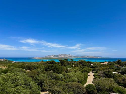 an aerial view of the ocean and trees with mountains in the background at Residence L'Ancora - Stintino in Stintino