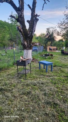 a person sitting on a table next to a tree at Karavani in Ambrolauri