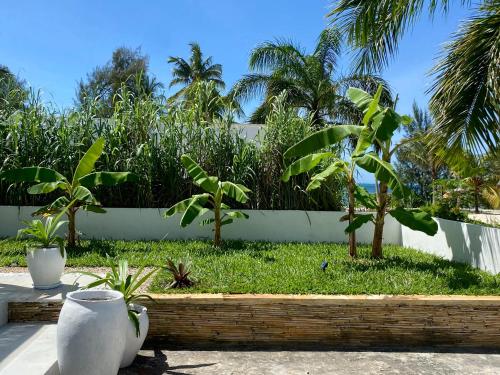 a coffee cup sitting on a table next to trees at Luxury Lions Villas Zanzibar - with Private Cook&Infinity Pools in Kiwengwa
