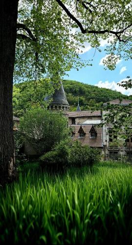 un vieux bâtiment avec un champ d'herbe et un arbre dans l'établissement Château Louis XI en Beaujolais, à Beaujeu