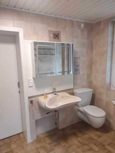 a bathroom with a sink and a toilet and a mirror at Putz Appartements in Gröbming