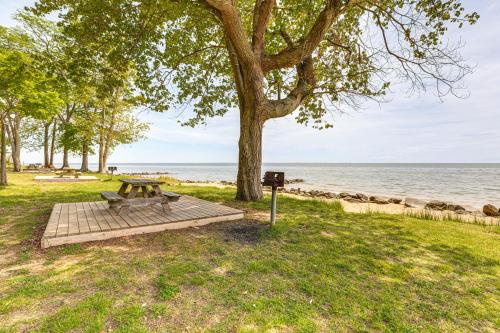 a picnic table under a tree next to the water at Walk to Beach Elegant Escape in Lusby! in Lusby