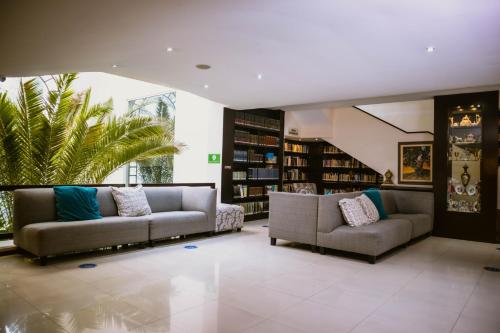 a library with two couches and a palm tree at Hotel Clara Luna in Xalapa