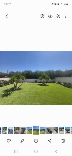 deux photographies d'un champ d'herbe avec des arbres dans l'établissement Maison 3 chambres, à Villegailhenc