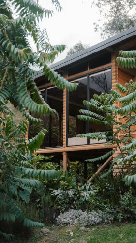 a house with a large green tree in front of it at EcoHotel Cantos del Rio in Cajamarca