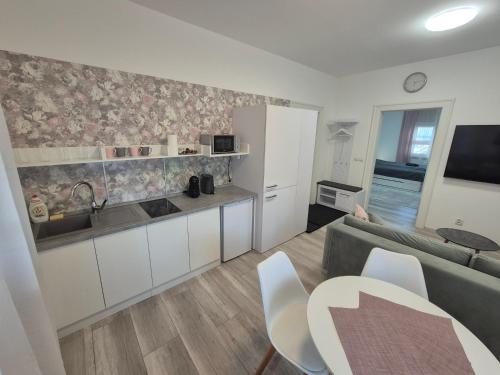 Η κουζίνα ή μικρή κουζίνα στο Apartman Centrum Mudronova