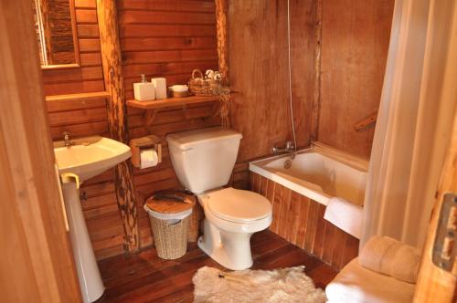 a bathroom with a toilet and a sink and a tub at Mallin Colorado Ecolodge in Aldana