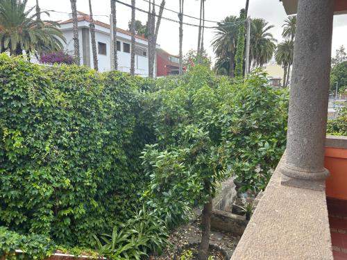 Aed väljaspool majutusasutust Guesthouse Casa DEL RIO