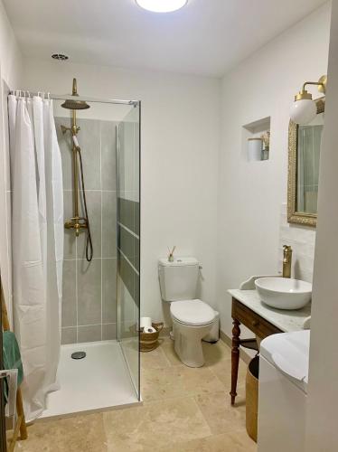 une salle de bain avec une douche, des toilettes et un lavabo dans l'établissement La Maison des Pérolles, à Santenay