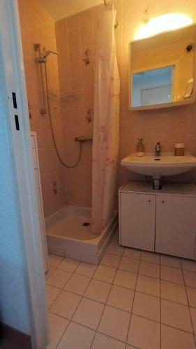 une salle de bain avec douche et lavabo dans l'établissement Charming loft with sea view, à Saint-Raphaël