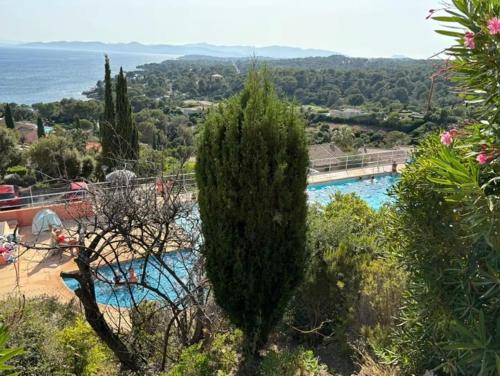 Elle offre une vue sur la piscine bordée d'un arbre. dans l'établissement Charming loft with sea view, à Saint-Raphaël