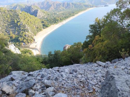 a view of a beach with rocks and trees at Rosemary Pansiyon in Cıralı
