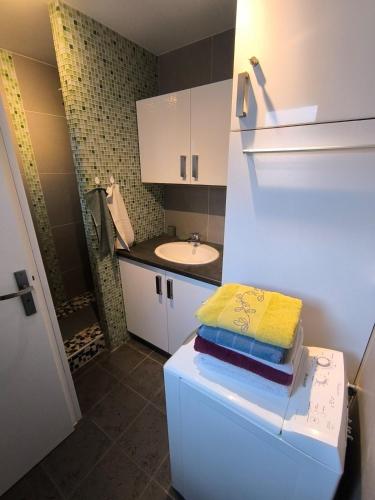 une salle de bain avec un lavabo et un comptoir avec des serviettes dans l'établissement Maison proche Baie de Somme mer campagne, à Tully