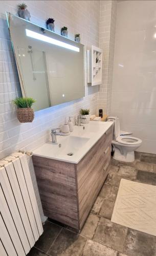 a bathroom with a sink and a toilet and a mirror at ! Magnifique Appartement De Caractère a Metz ! in Montigny-lès-Metz