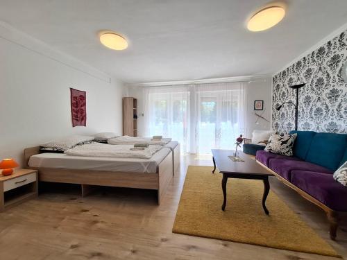 Napvirág - Közel mindenhez