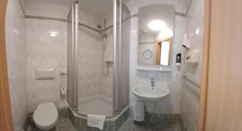 Un baño con ducha, inodoro y lavabo. en Hotel Ratskeller Falkenstein Vogtland, en Falkenstein