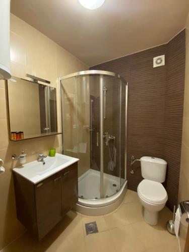 a bathroom with a shower and a toilet and a sink at Apartments Bella di Mare in Kotor